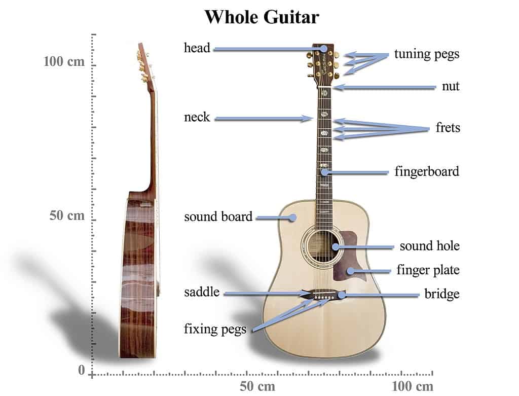 how to learn to play an acoustic guitar - Acoustic Guitar Anatomy