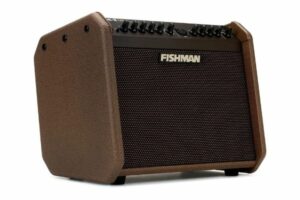 Fishman Loudbox Mini Charge