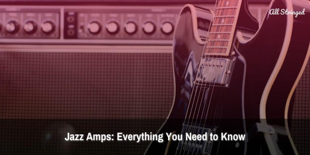 Jazz Amps Everything You Need To Know All Stringed