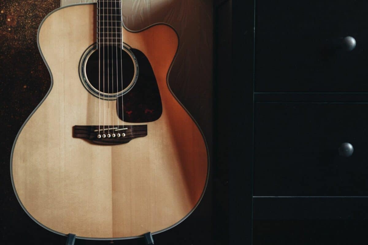 peavey acoustic guitar