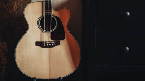 peavey acoustic guitar